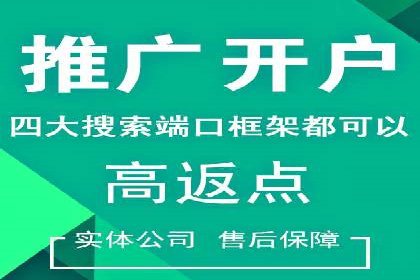 SEM专员的角色与成功案例解析