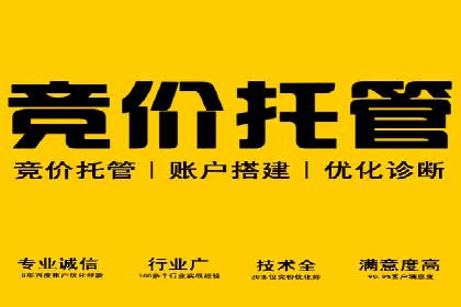 整合SEO与SEM，打造品牌营销新模式——案例研究